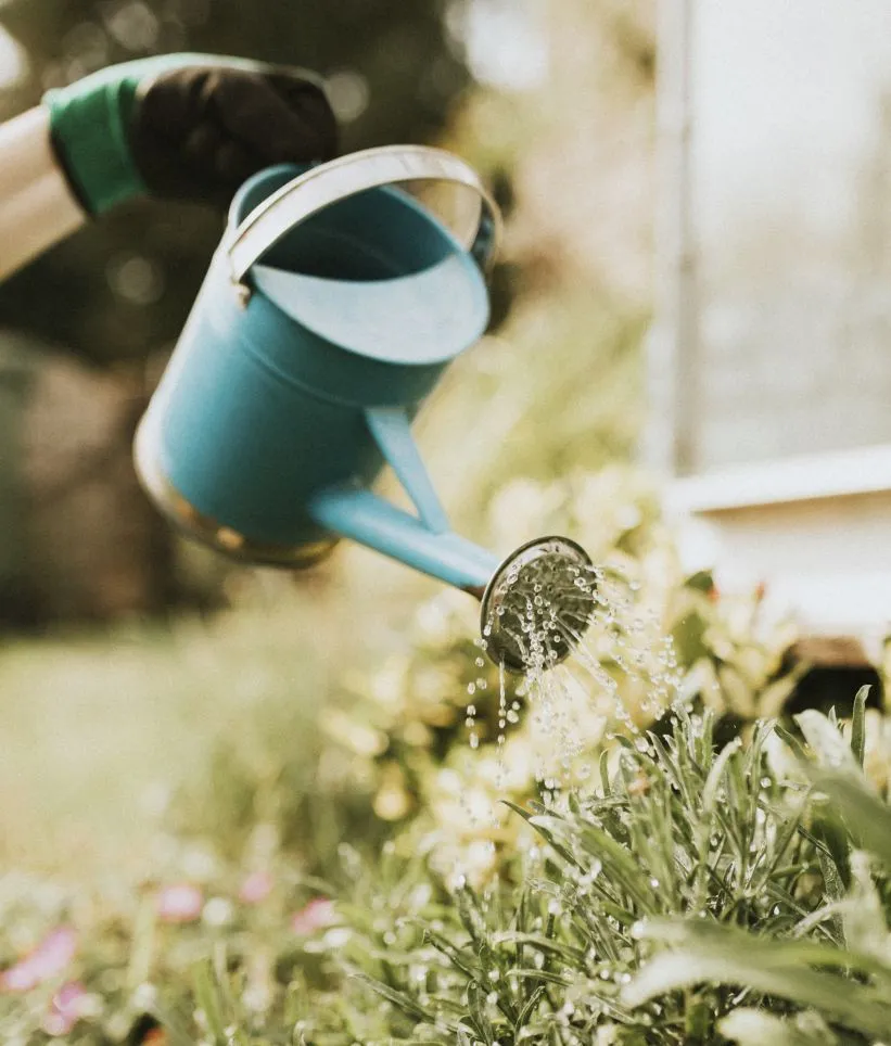 Frau-wässert-mit-kleiner-grüner-Giesskanne-Pflanzen