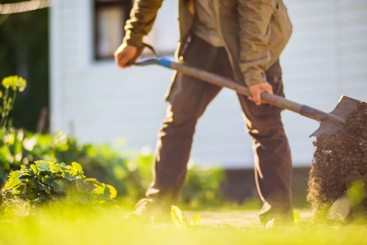 Landwirt-gräbt-Boden-Gemüsegarten-Bodenvorbereitung-Gemüseanbau-Gartenarbeit-Konzept-landwirtschaftl