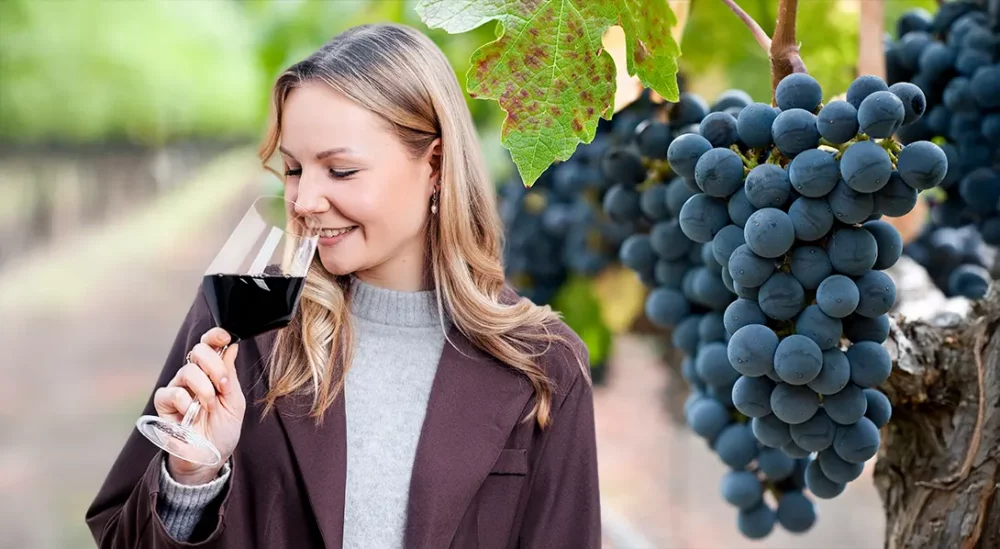 Beitrag: Primitivo Rotwein Interview