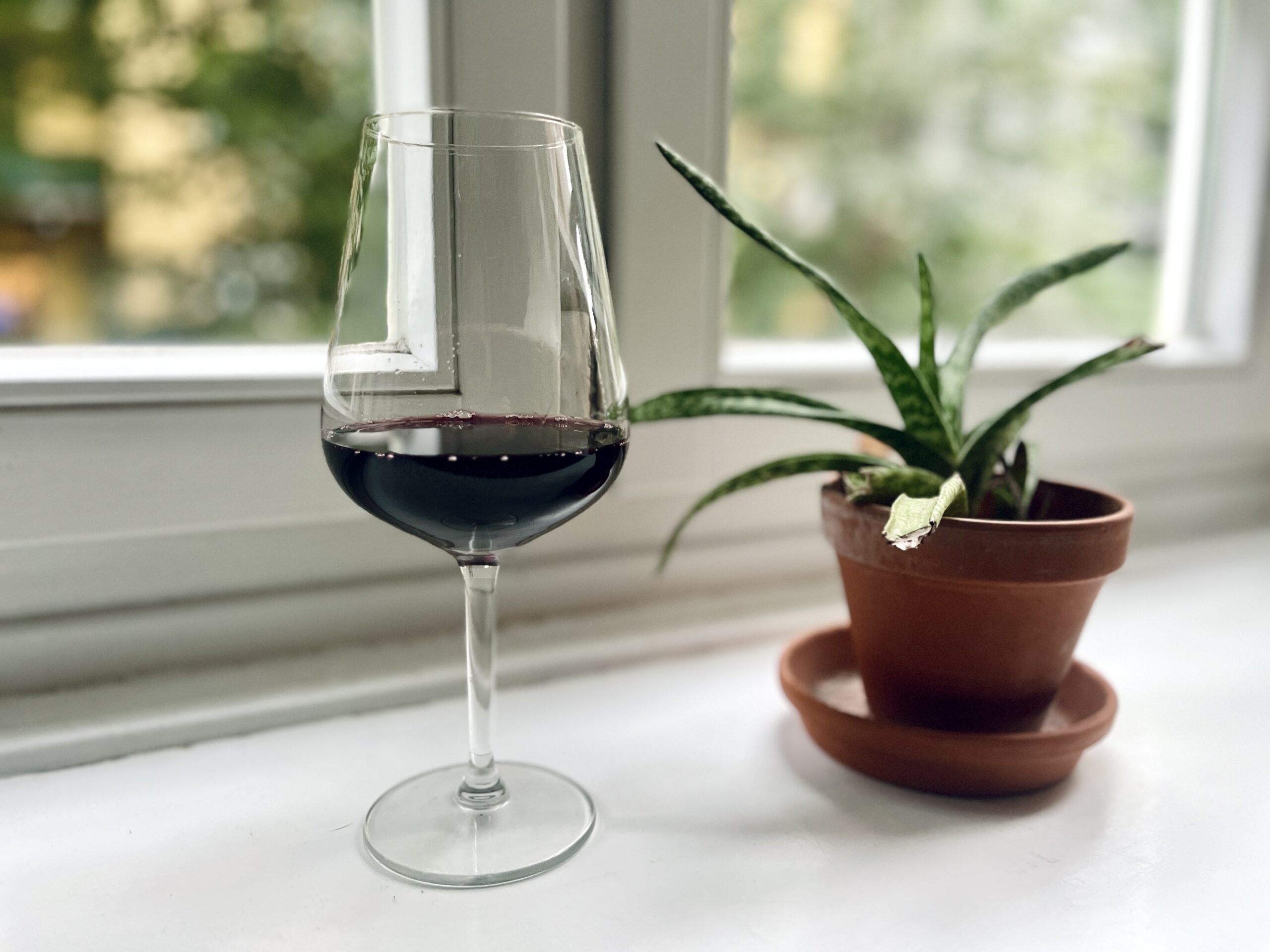 Bester Rotwein - unsere Empfehlungen