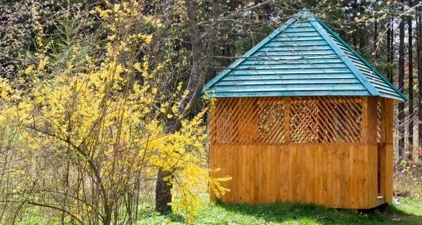 blossoming-twig-tree-with-yellow-flowers-summerhouse-near