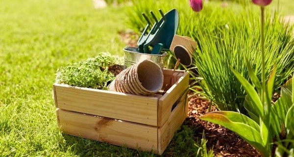 close-up-wooden-box-with-garden-tools-summer