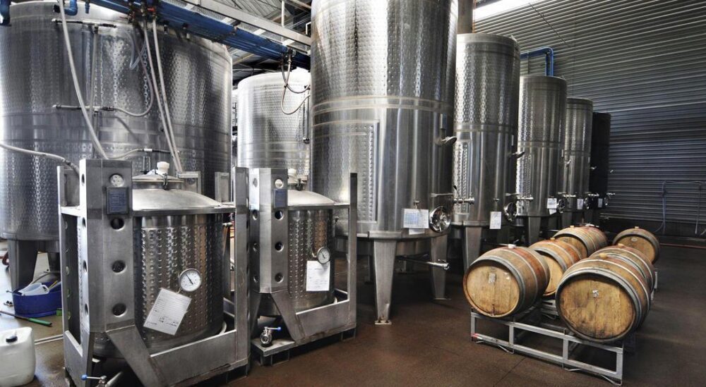 Weißwein-Herstellung: Grundlagen vom Anbau bis Abfüllung