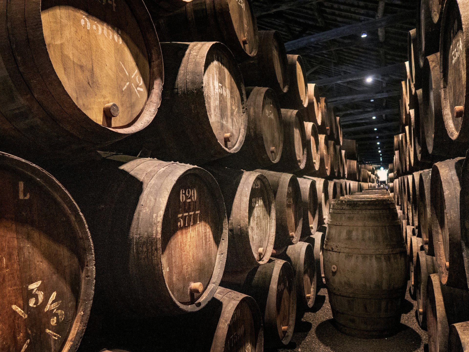 Portwein Fässer in Portugal
